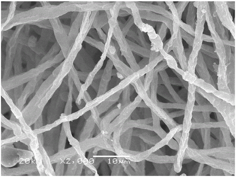 Phosphorus-based biochar material, and preparation and application thereof