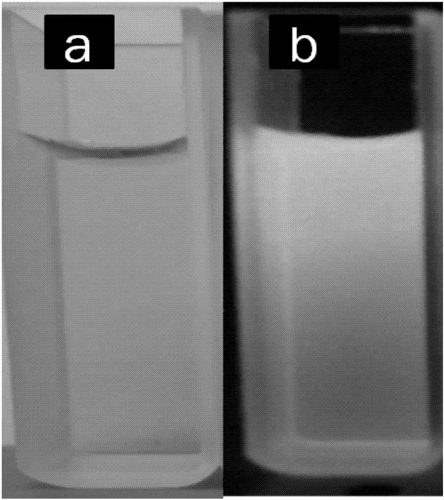 Method for preparing silver sulfide quantum dots under normal pressure and temperature