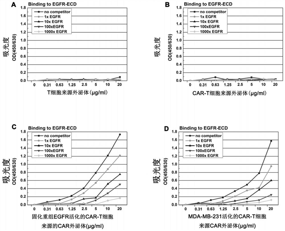 Preparation method and application of immune cell exosomes carrying chimeric antigen receptors