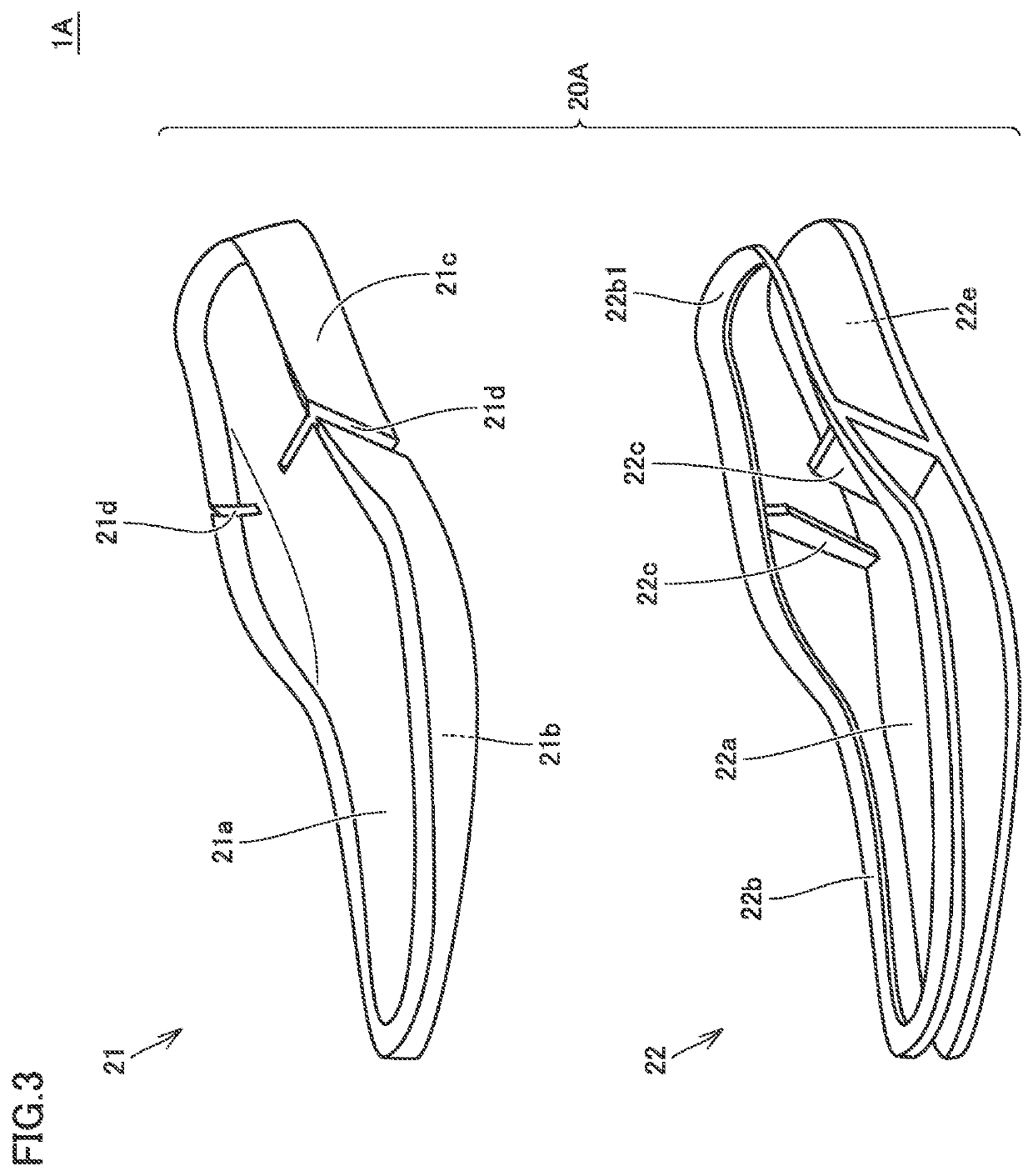 Shoe and method for manufacturing shoe