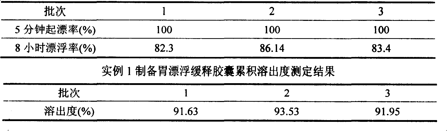 Meclofenoxate hydrochloride stomach-floating sustained release capsule and preparing method thereof