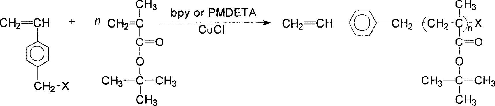 Preparation of polymethyl tert-butyl acrylate large molecular monomer by atom transfer radial