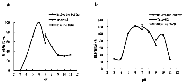 Chitinase derived from marine environment and gene thereof