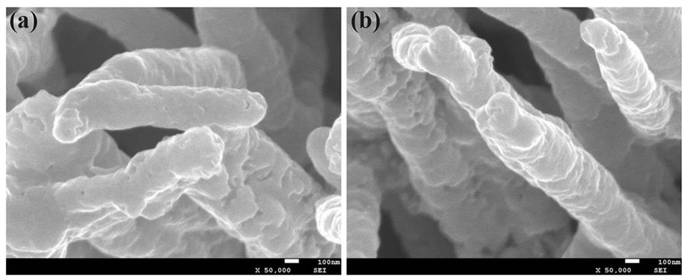 a co  <sub>9</sub> the s  <sub>8</sub> Preparation method of composite array electrode with nitrogen-doped carbon