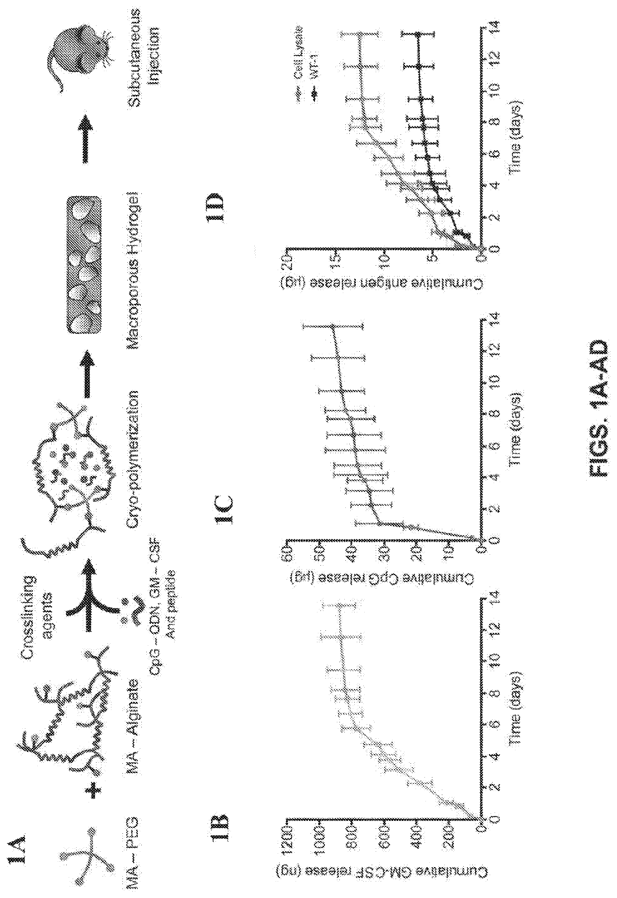Compositions for inducing an immune response