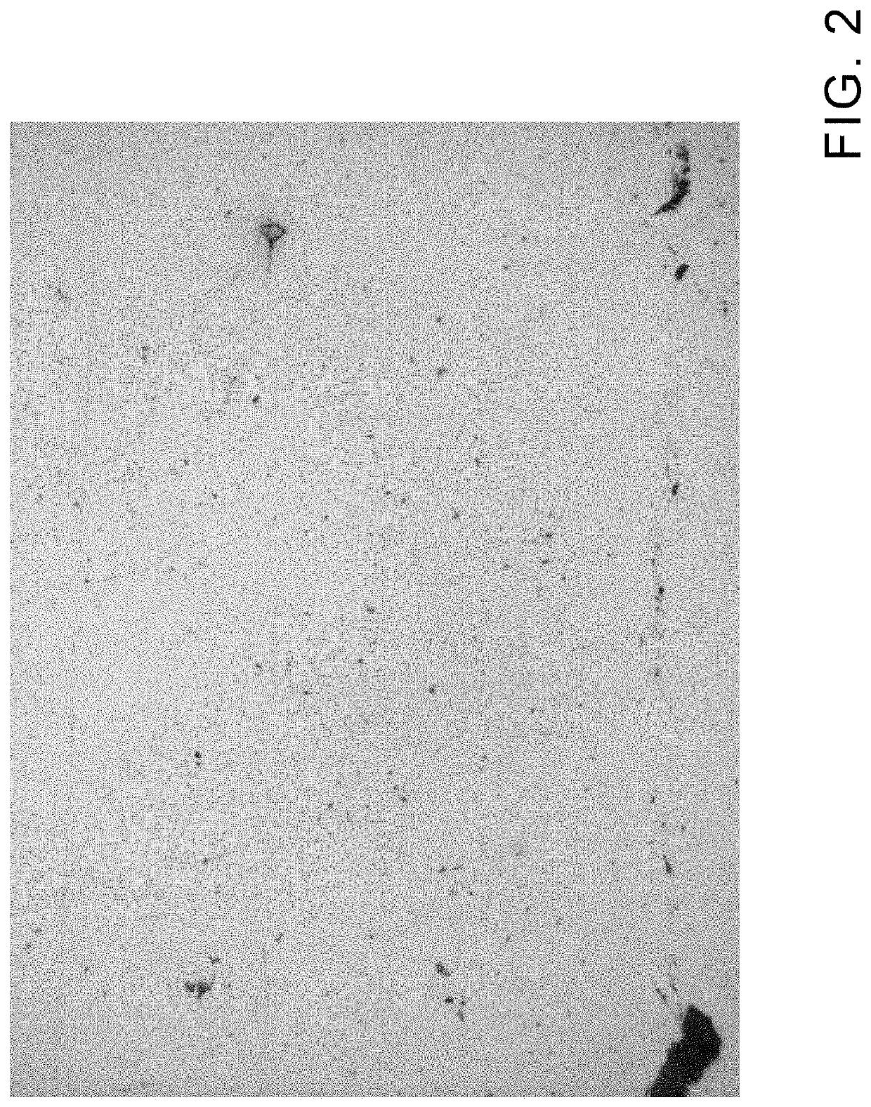 Systems and methods for application of stress corrosion cracking resistant cold spray coatings