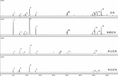 A construction method and identification method of the ULC characteristic map of the peduncle, Shiwei, Lushan Shiwei and North China Shiwei