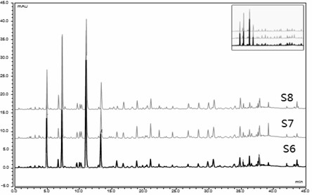 A construction method and identification method of the ULC characteristic map of the peduncle, Shiwei, Lushan Shiwei and North China Shiwei