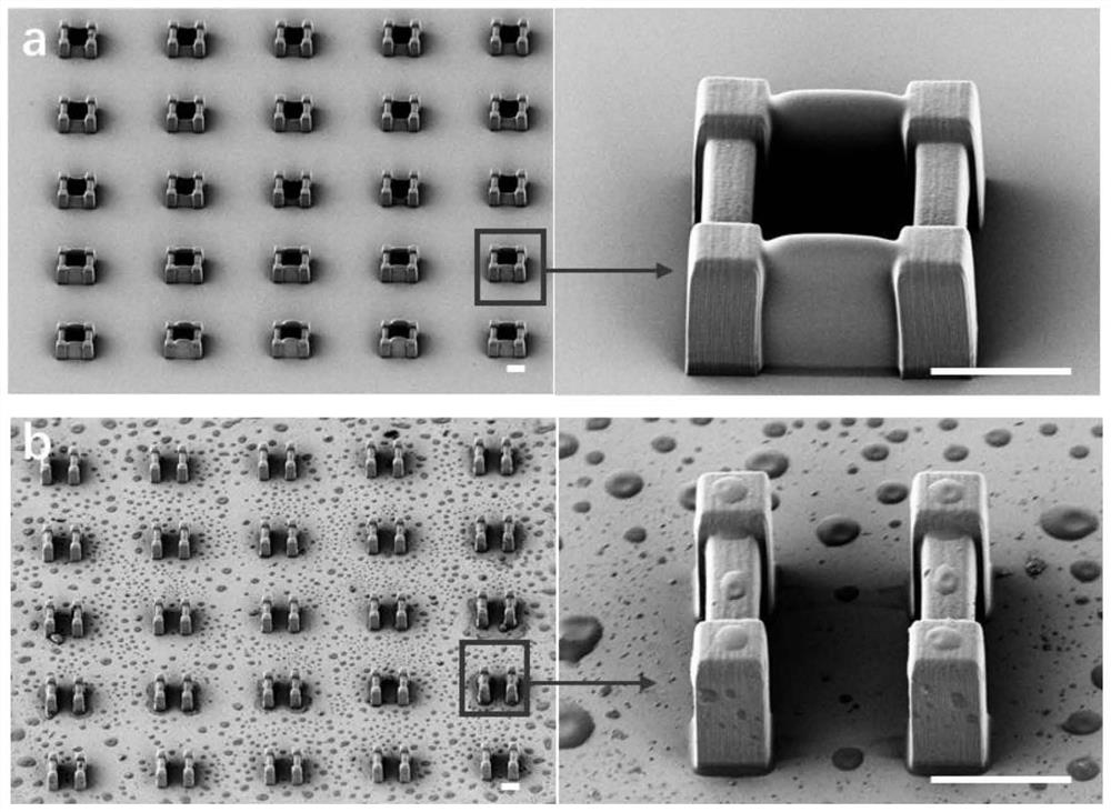 Degradable photoresist and application thereof in 3D printing