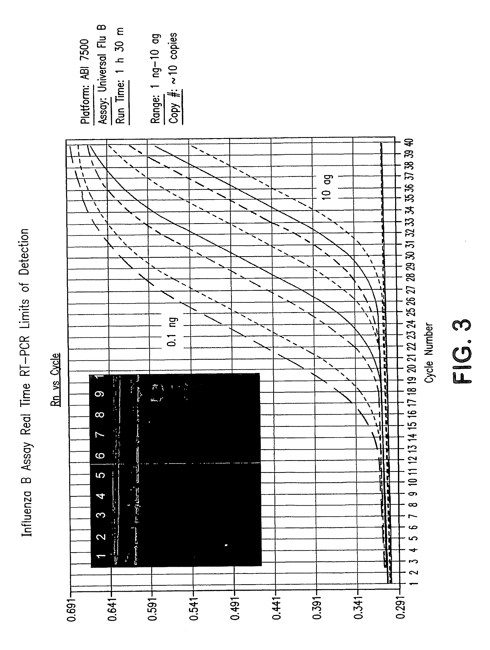 Compositions and method for rapid, real-time detection of influenza A virus (H1N1) swine 2009