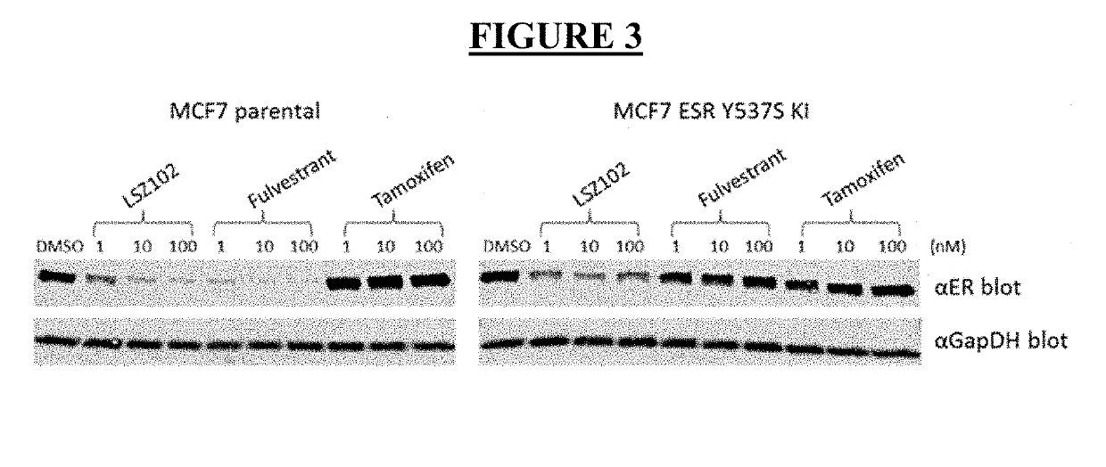 Pharmaceutical combination  comprising lsz102 and ribociclib