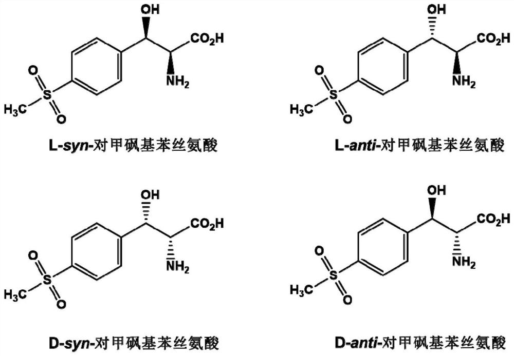 A kind of l-threonine aldolase mutant, gene and method for preparing l-syn-p-thymphenylphenylserine