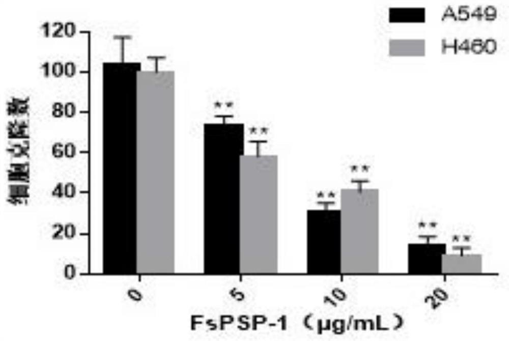 Application of purple sweet potato polysaccharide in the preparation of anti-lung cancer drugs