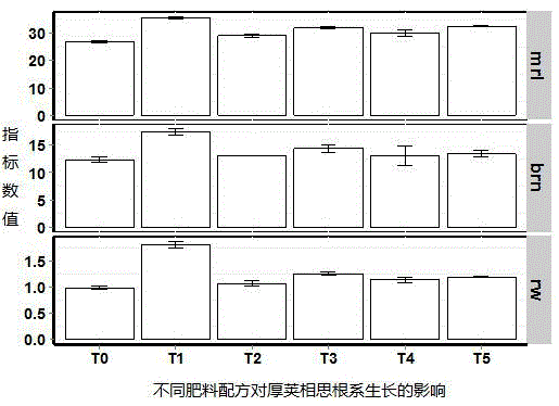 Efficient compound fertilizer specially used at acacia crassicarpa seedling stage