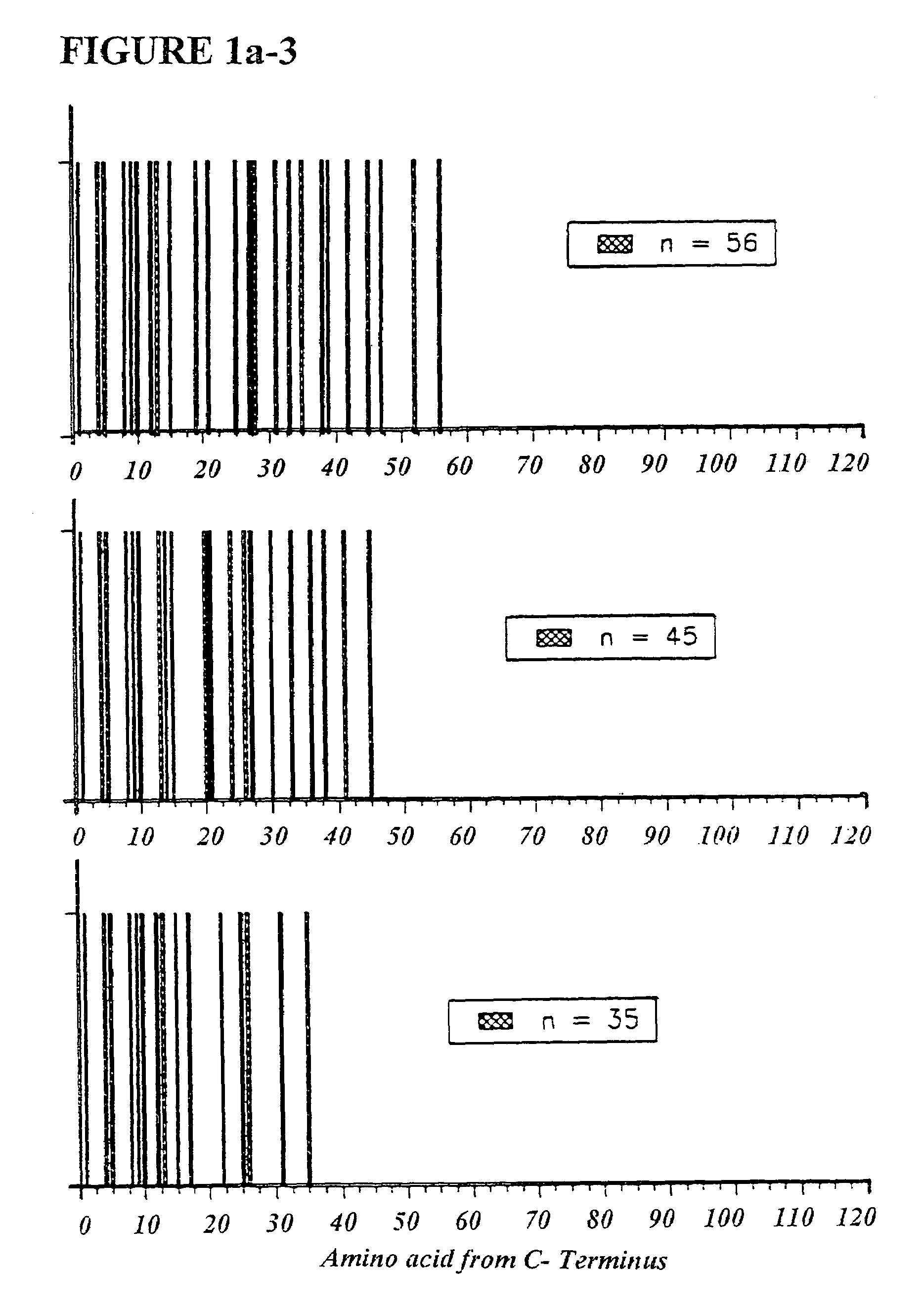 Copolymer 1 related polypeptides for use as molecular weight markers and for therapeutic use