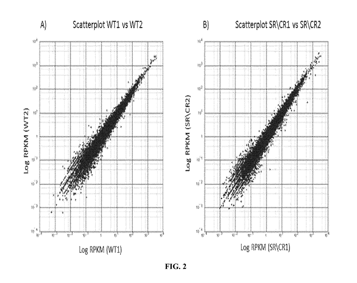 Innate immune system modification for anticancer therapy