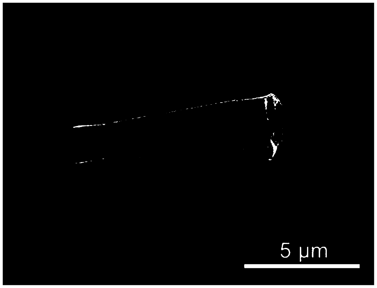 A Method for Guiding Micro-Nanomotors Using Magnetically Responsive Topological Orbitals