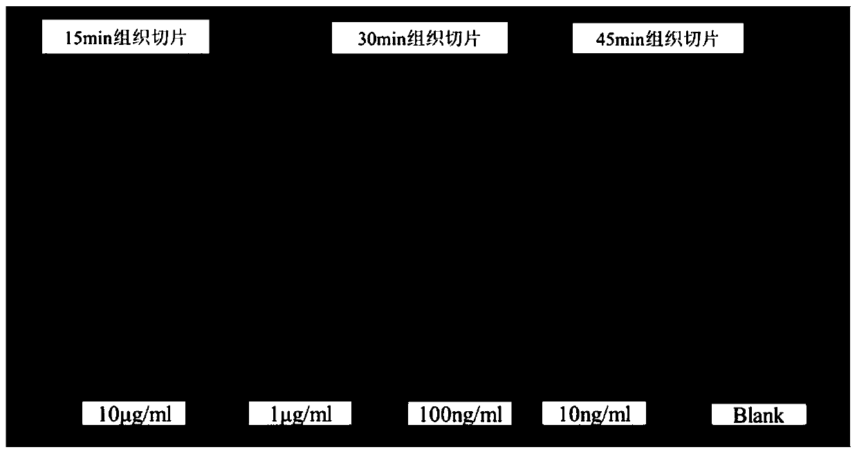 Method of detecting beta-adrenergic receptor agonist in animal tissue