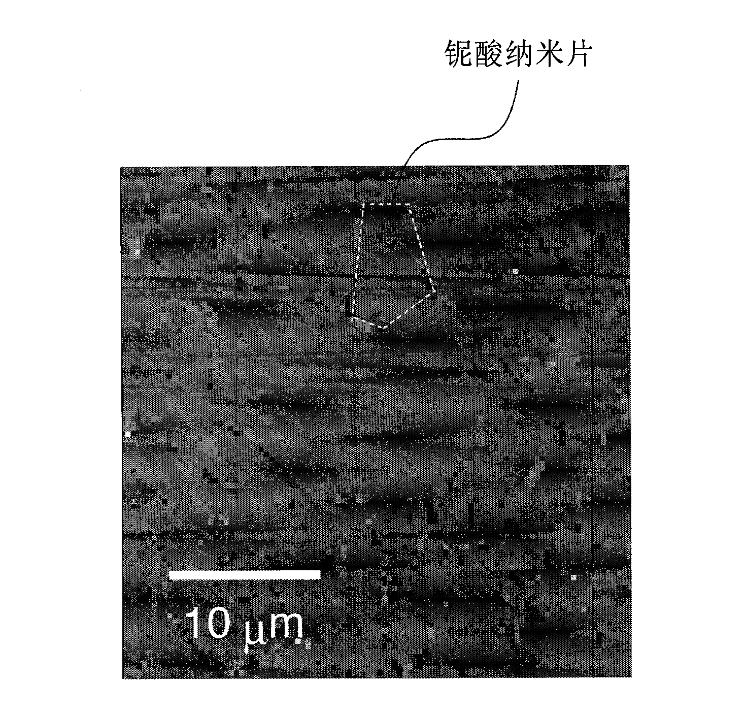 Dielectric film, dielectric element, and process for producing the dielectric element