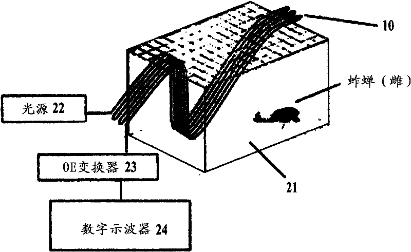 fiber optic cable