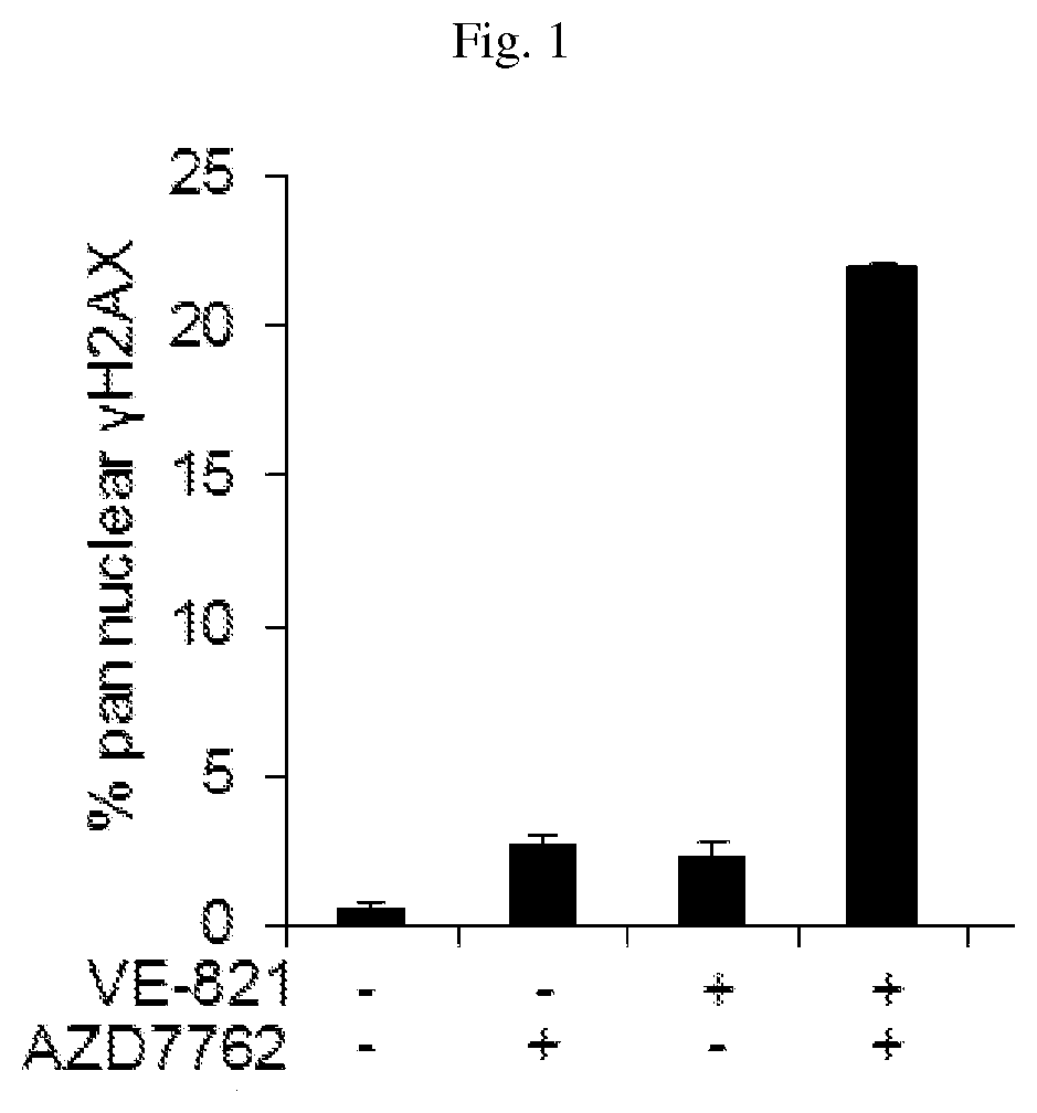 Method for treating cancer using a combination of chk1 and atr inhibitors