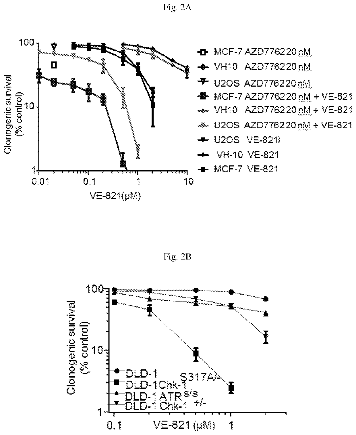 Method for treating cancer using a combination of chk1 and atr inhibitors