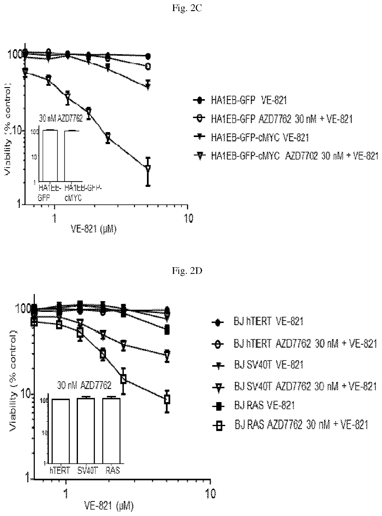 Method for treating cancer using a combination of chk1 and atr inhibitors