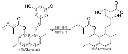 Method for separating high-purity lactone type lovastatin from fermentum rubrum powder