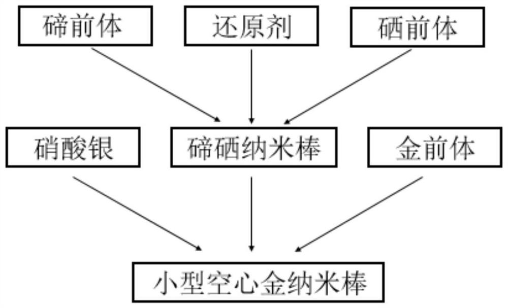 A kind of small hollow gold nanorod and its preparation method and application