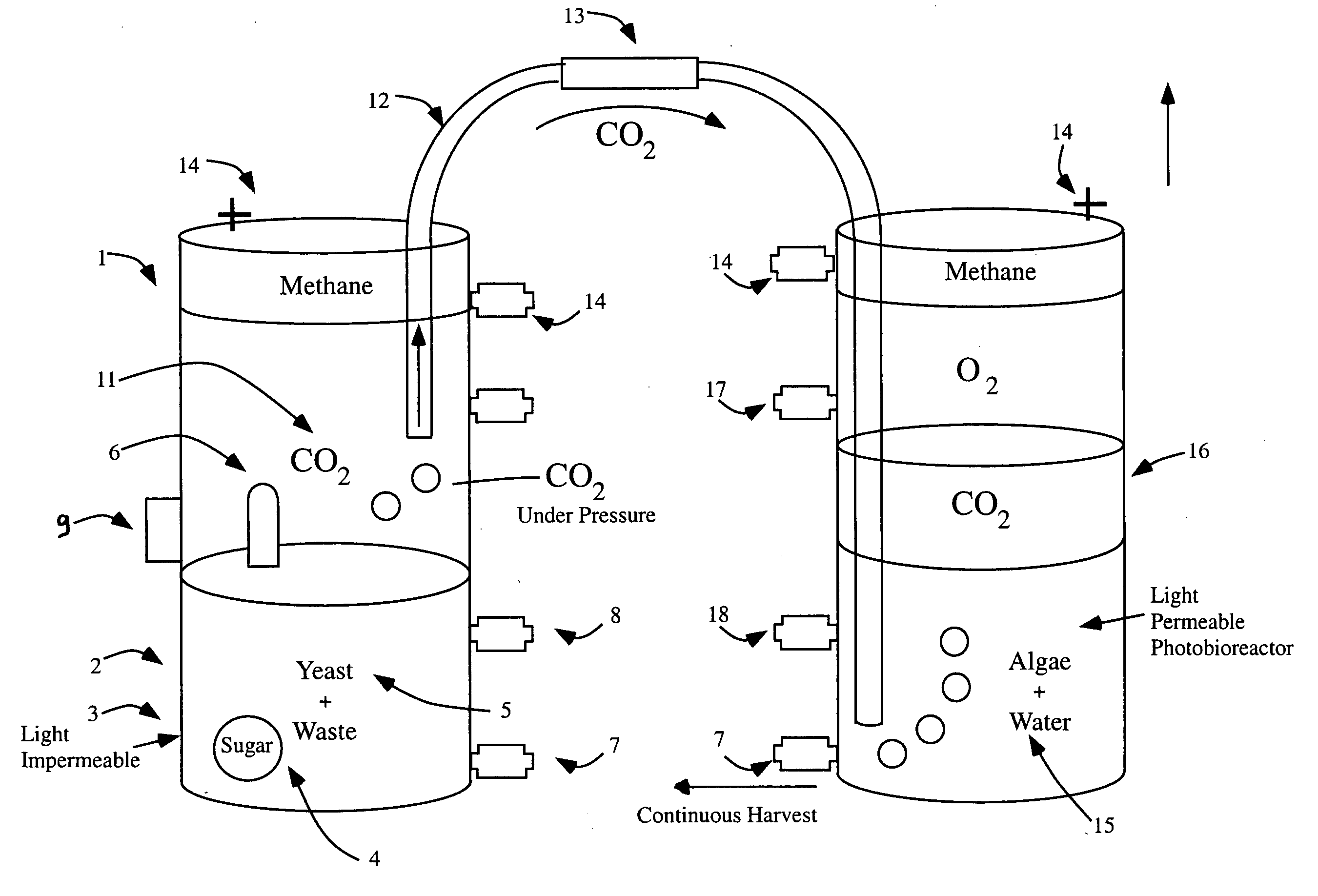 Systems and methods for production of biofuel