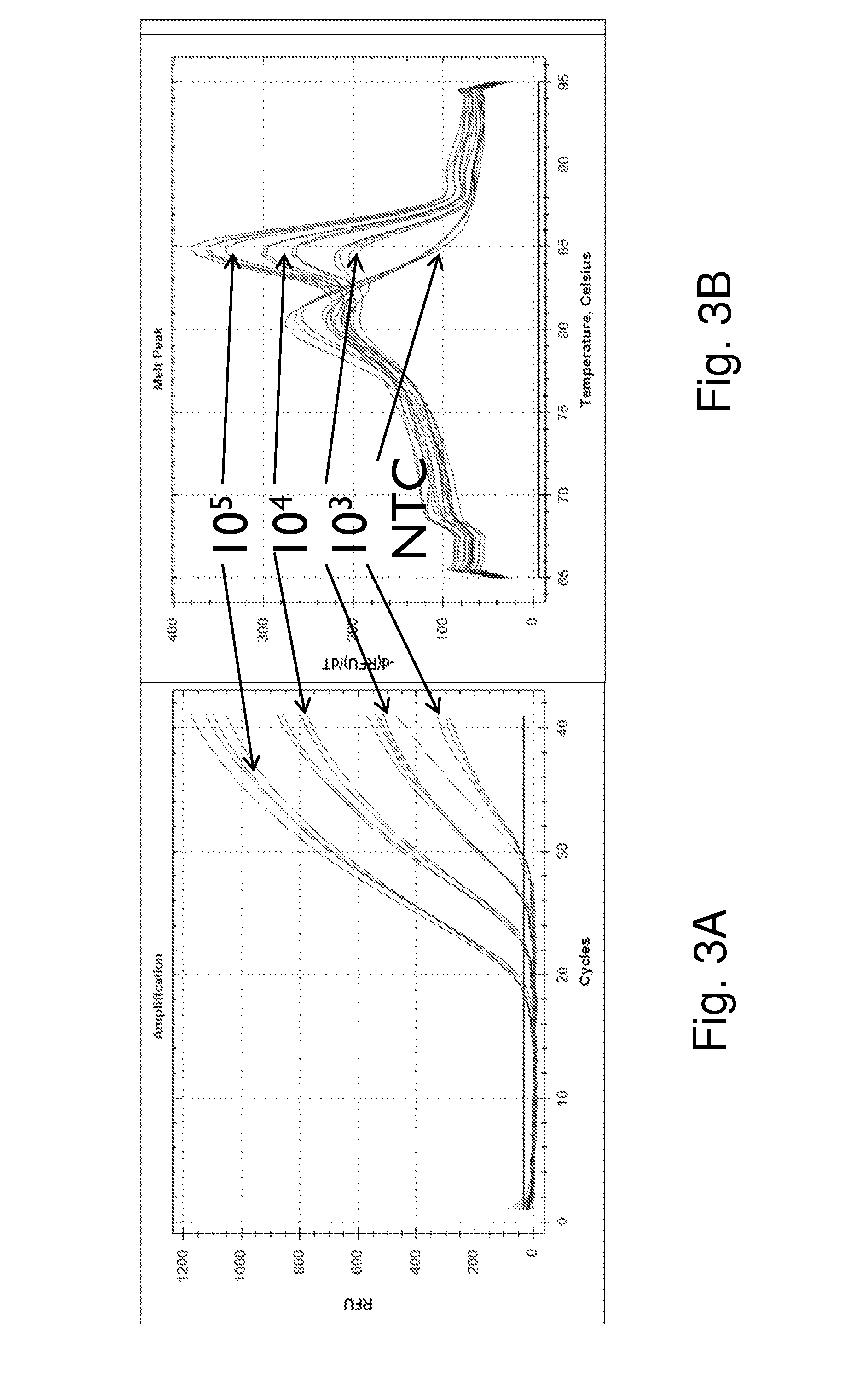 Methods and Compositions for PCR Using Blocked and Universal Primers