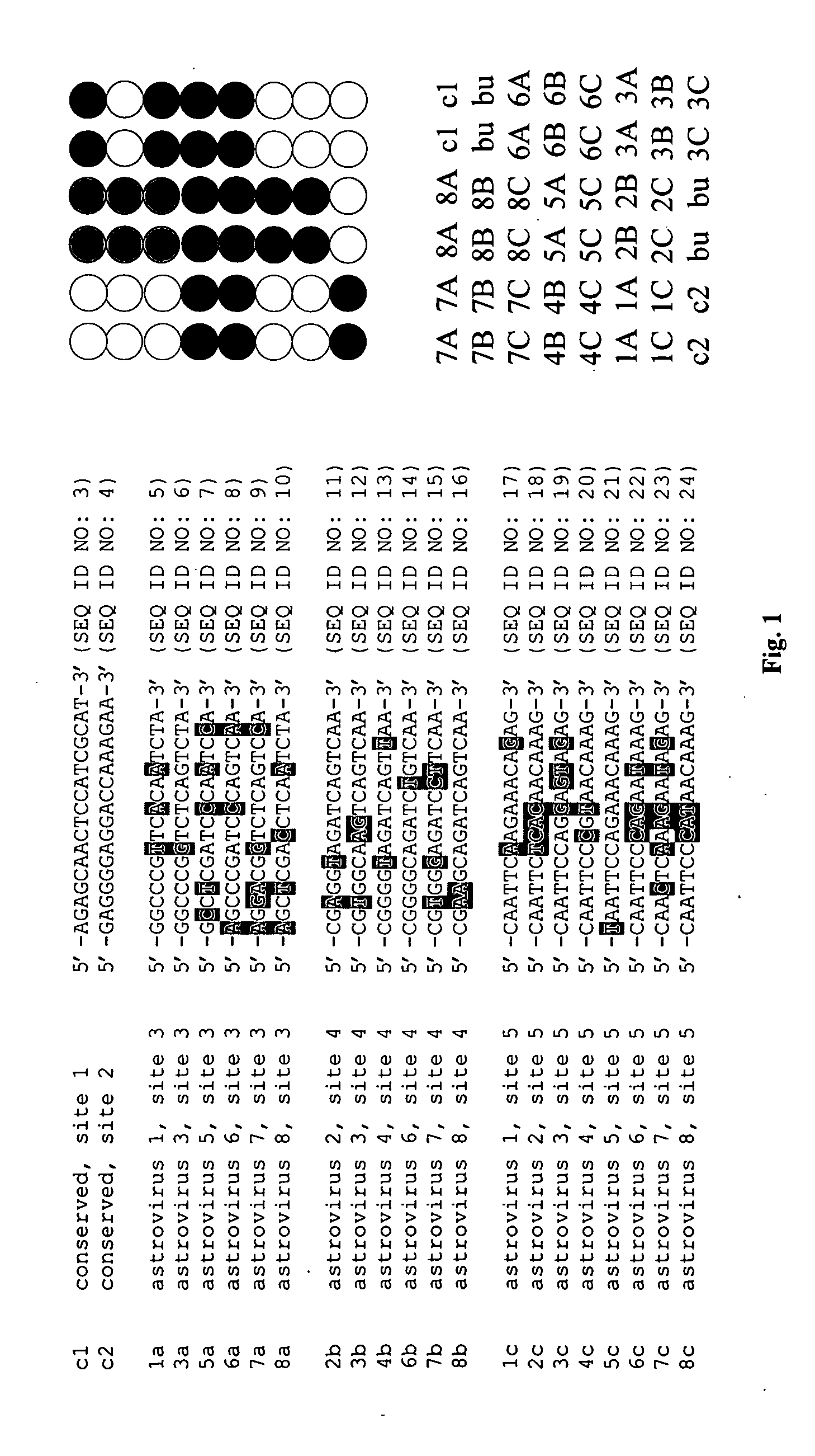 Methods and microarrays for detecting enteric viruses