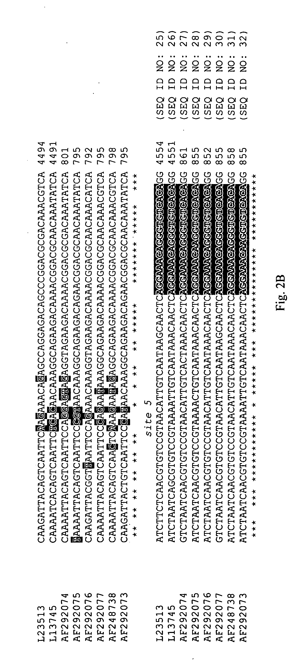 Methods and microarrays for detecting enteric viruses