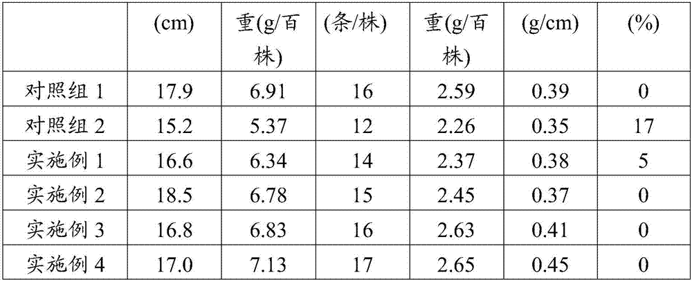 Seedling breeding matrix for organic rice by using leftovers of edible fungi and preparation method and application thereof