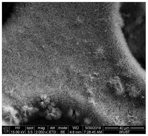 Foamed nickel substrate loaded copper cobaltate nanowire array material and preparation method thereof