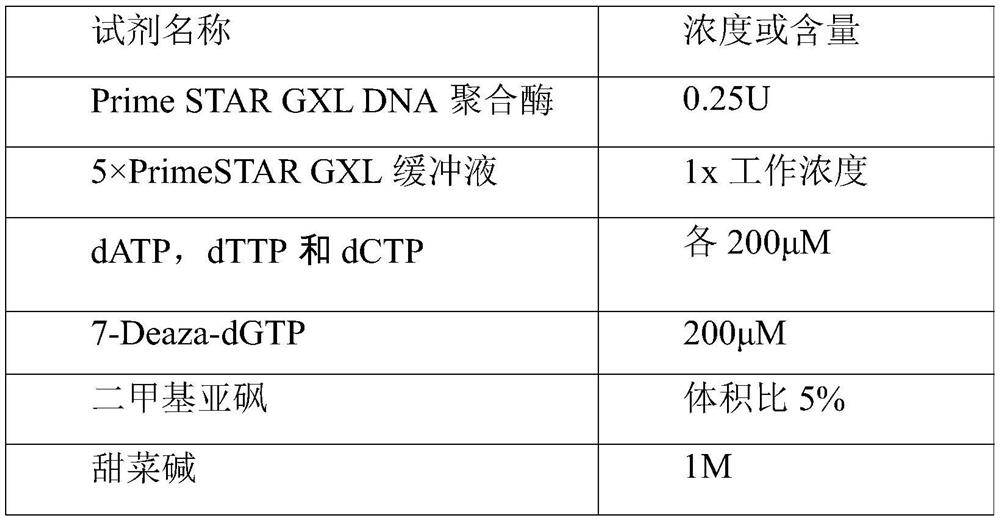 Method for amplifying GGC repetitive sequence of NOTCH2NLC gene