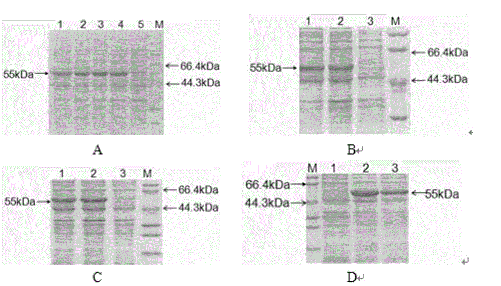 Method for screening anti-plant nematode infection compound by taking 2-Cys Prx as target