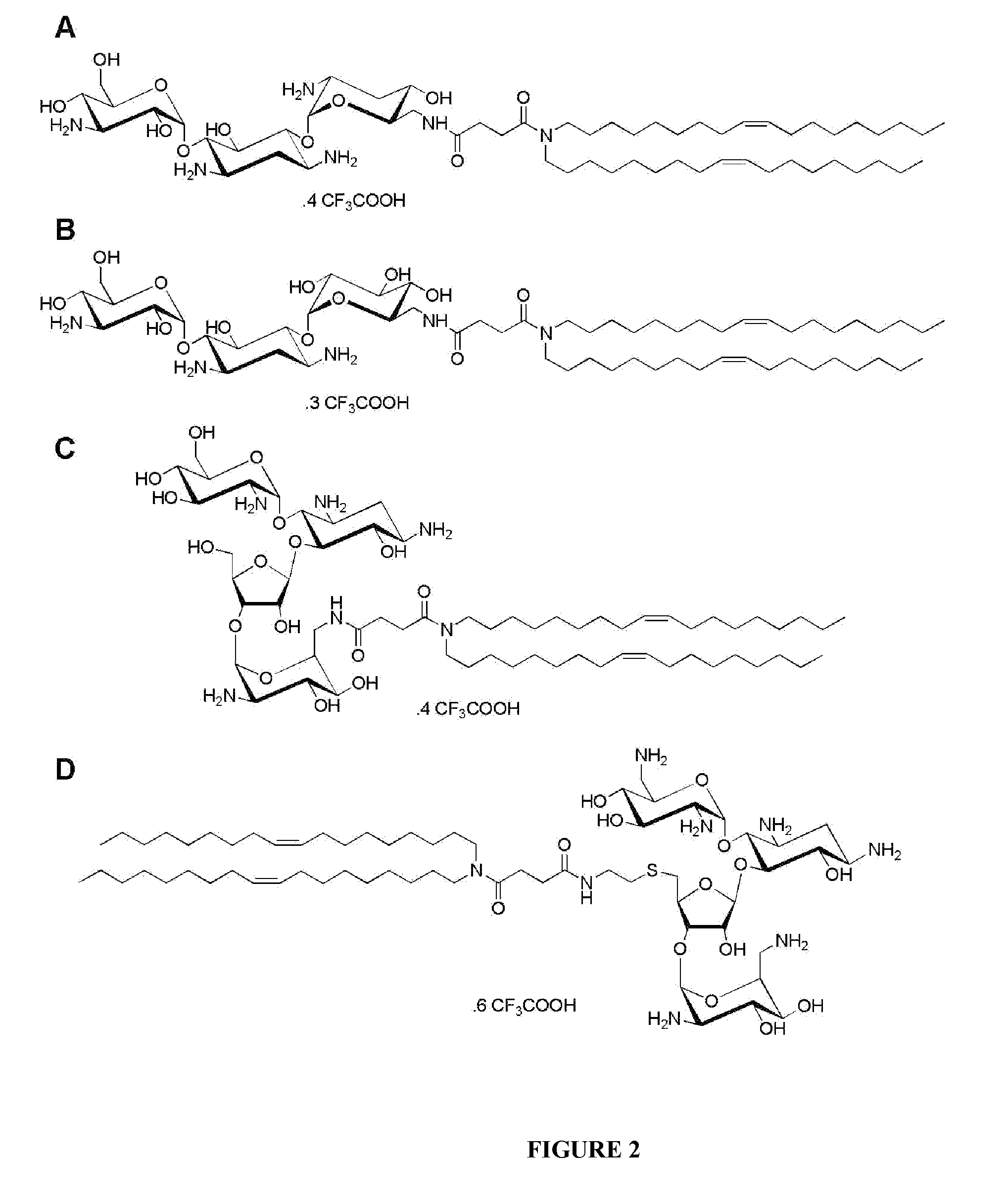 Compositions comprising a sirna and lipidic 4,5-disubstituted 2-deoxystreptamine ring aminoglycoside derivatives and uses thereof
