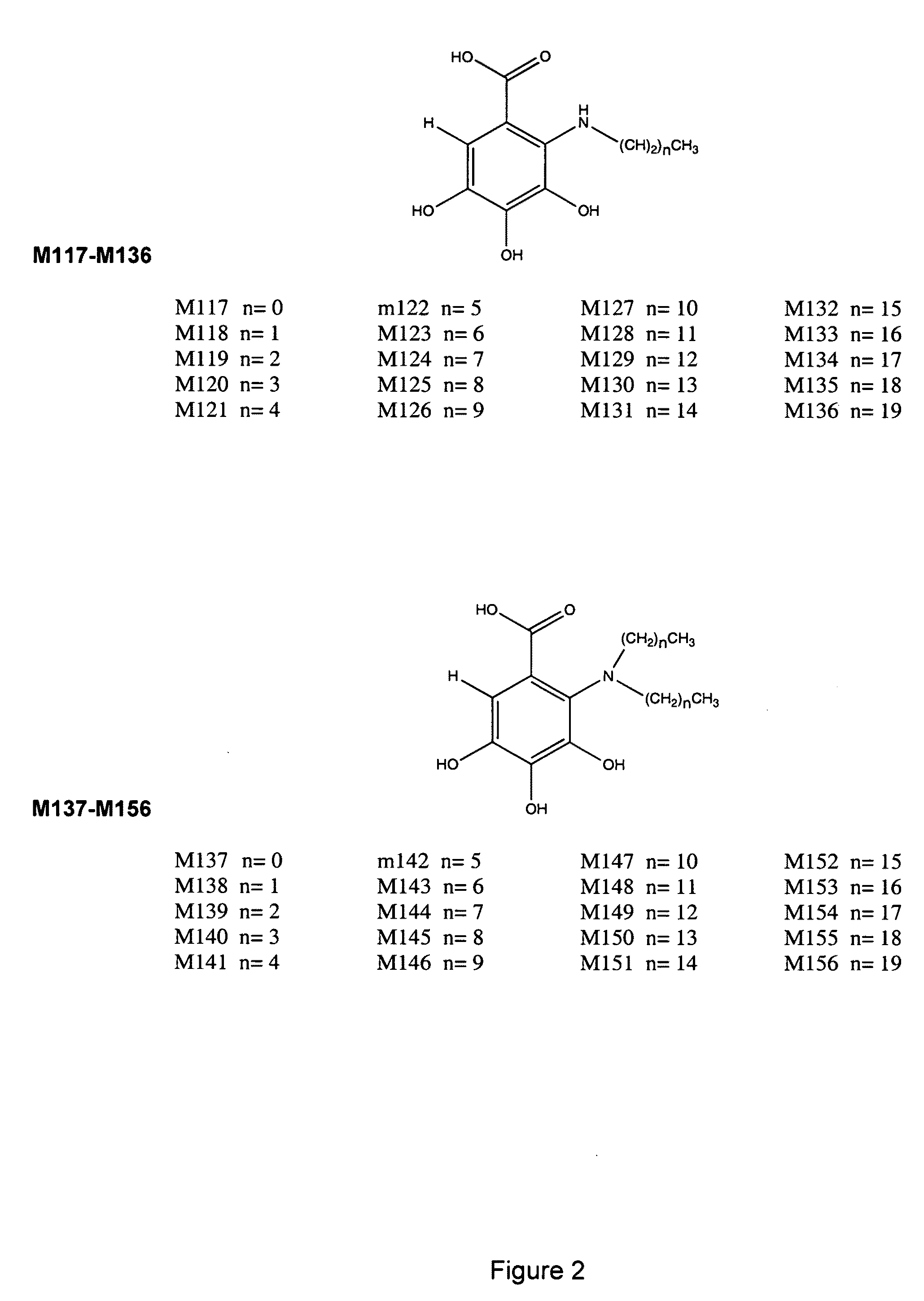 Compounds and assays for controlling Wnt activity