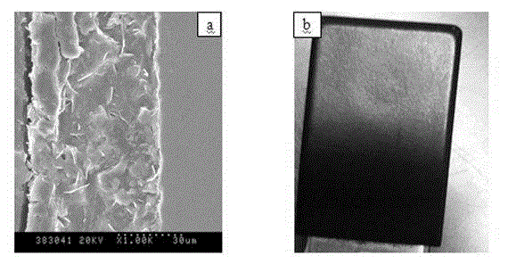 Method for directly generating black corrosion-resistant micro-arc oxidation film layer on steel surface