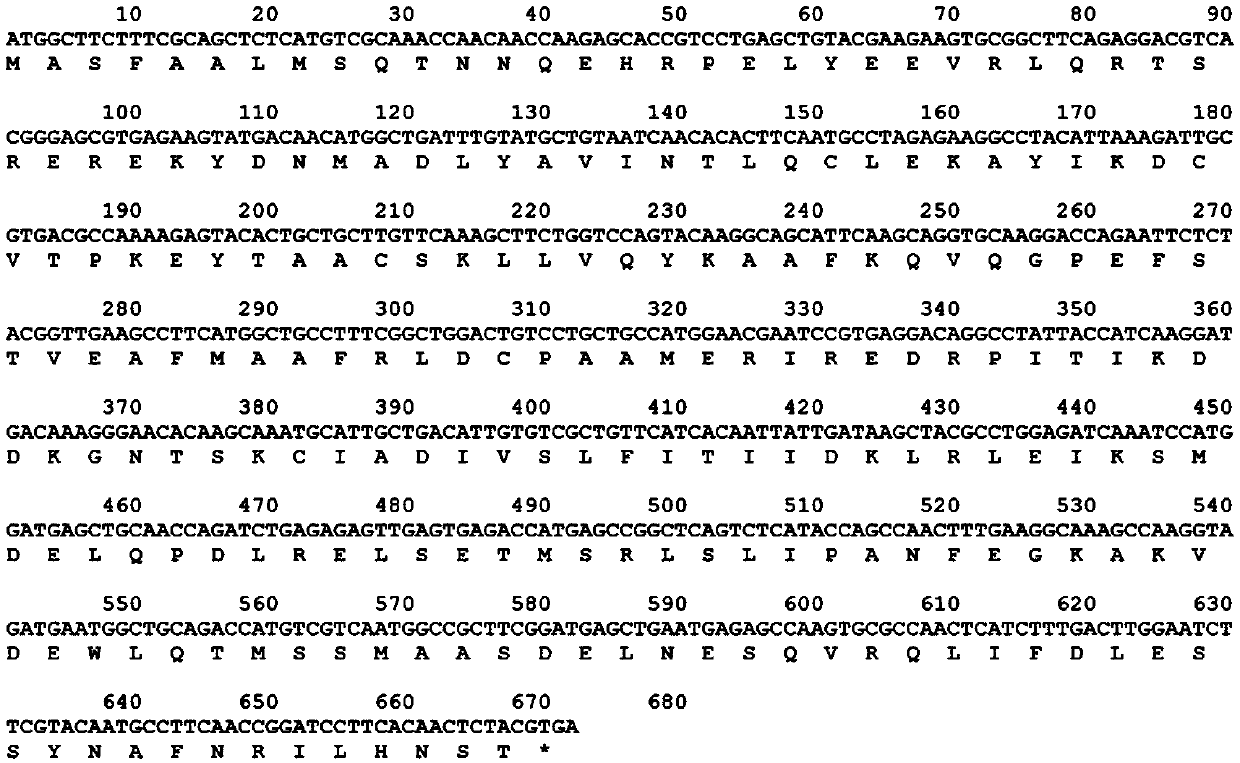 Rhipicephalus haemaphysaloides vacuolar protein sorting molecule and application thereof