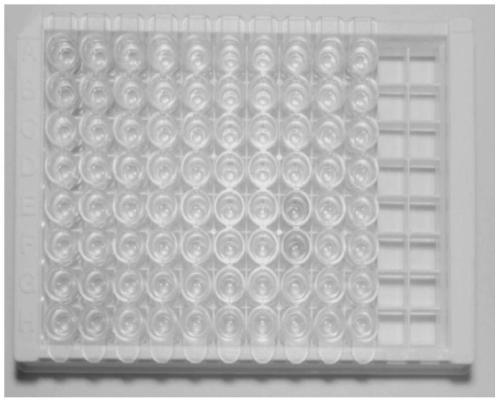 ELISA kit for detecting human serum dlk1 protein and application thereof
