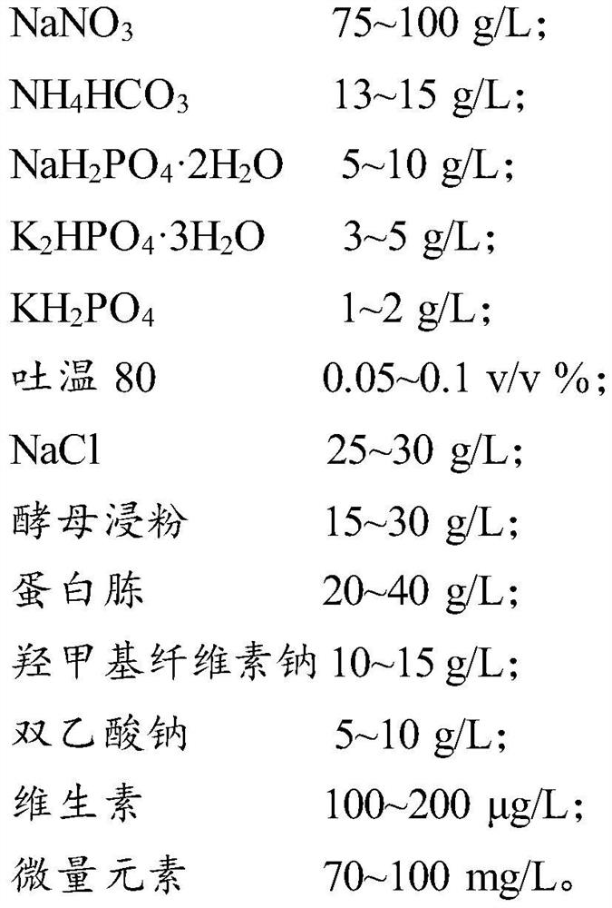 Algae symbiotic bacterium composition, phycomycete co-culture system and microalgae culture method