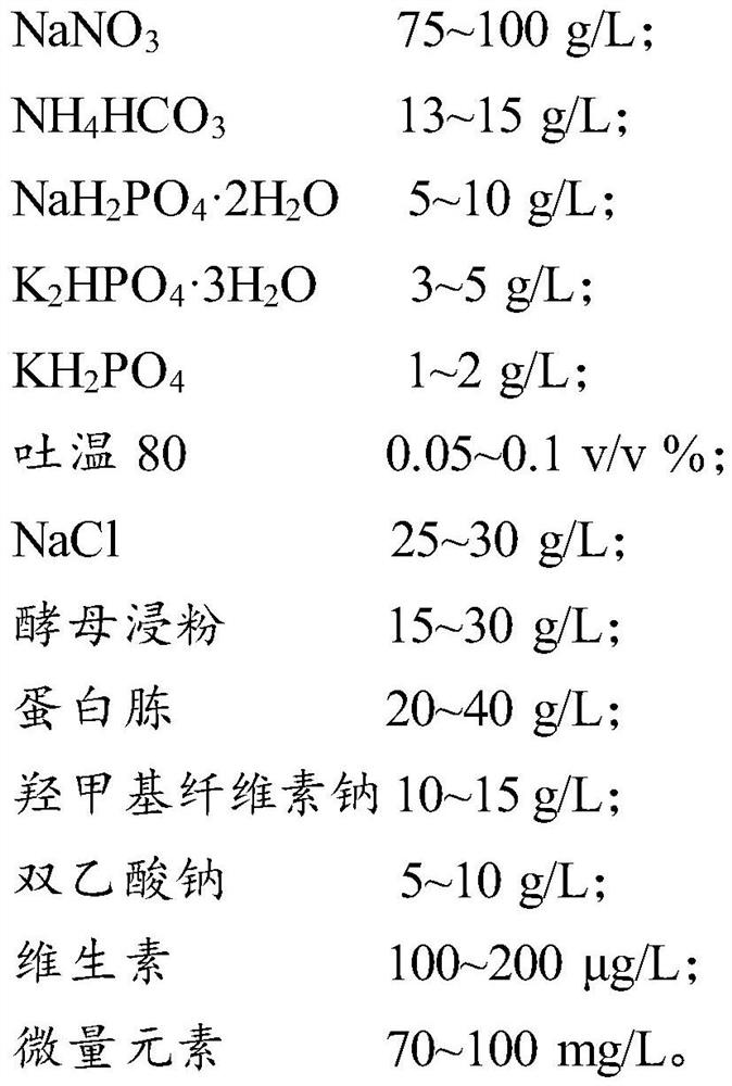 Algae symbiotic bacterium composition, phycomycete co-culture system and microalgae culture method