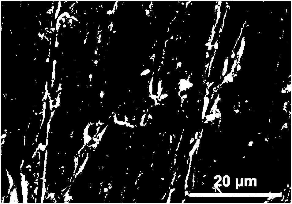 Surface modification method of magnesium alloy