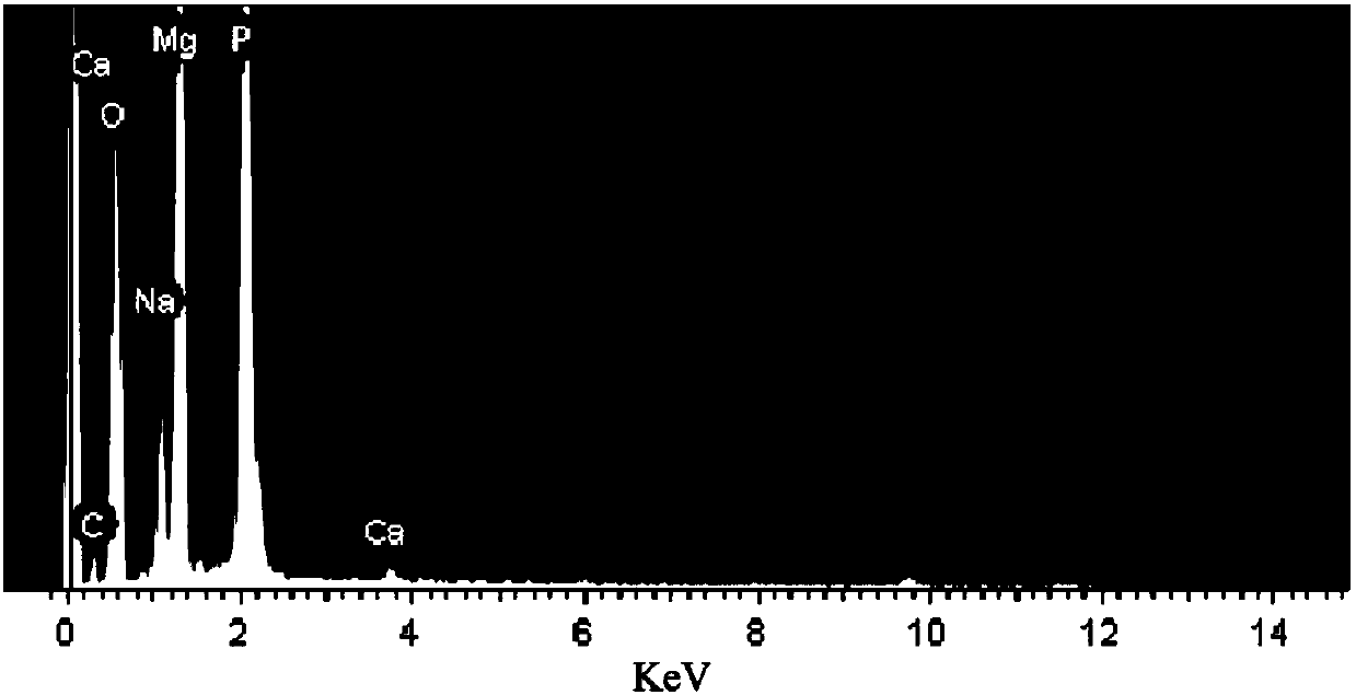 Surface modification method of magnesium alloy