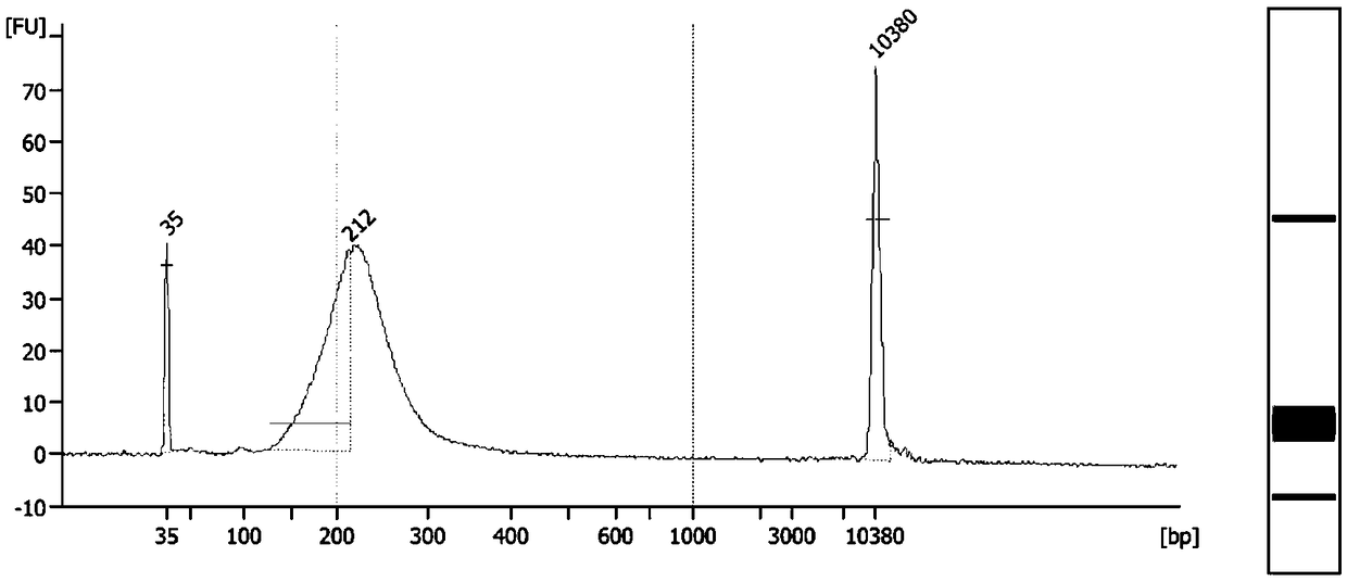 A simplified library construction method and reagents