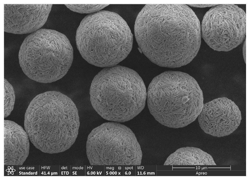 B/Mg co-doped high-nickel ternary precursor material, positive electrode material and preparation method