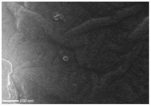 Pre-intercalated lithium hard carbon material and its preparation method and application