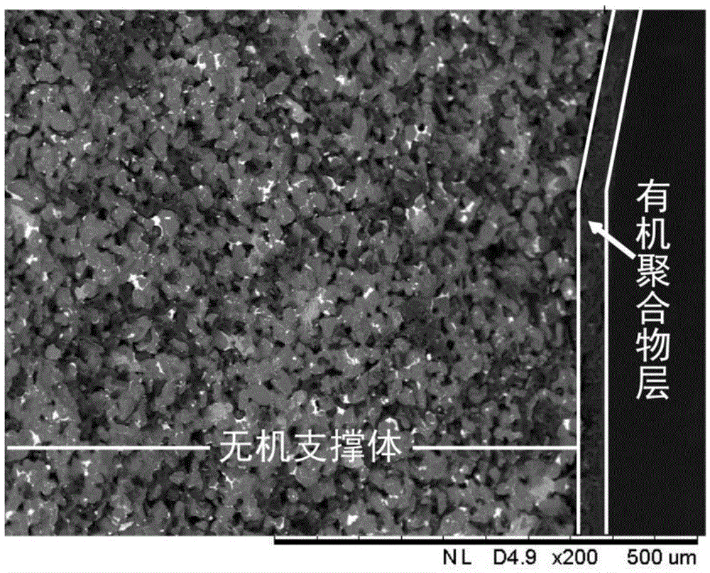 A kind of tubular inorganic-organic composite microfiltration membrane and its preparation method